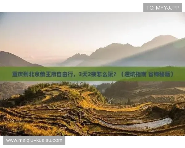 玩球大小分怎么买避坑指南极速提现技巧